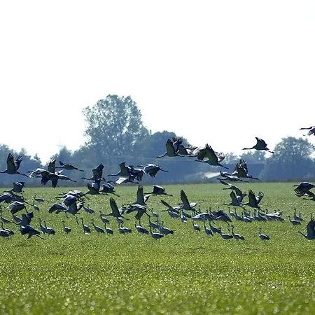 Feriehus Zur Kranichweide